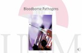 What is a Bloodborne Pathogen? - University of New Mexico · PDF file What is a Bloodborne Pathogen? • Bloodborne Pathogens means pathogenic microorganisms that are present in human