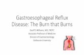 Gastroesophageal Reflux Disease: The Burn that …...•Gastroesophageal reflux disease is a common clinical modality and most patients can be diagnosed and managed by trial of proton