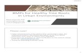 BMPs for Healthy Tree Roots in Urban Environments · –No circling roots, J-roots, girdling roots •Establish quickly with rapid root growth into the landscape soil –In ideal