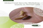 Global Food Security Workshop: Insects as Animal …...safety, feed efficiency and processing methods. Summary of key priorities Session 1. Identifying the key knowledge gaps After