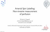 Arterial Spin Labelling: Non-invasive measurement of perfusionapps/FSL_arterial_spin_labelling.pdfArterial Spin Labelling : M.A. Chappell ASL Acquisition • Buts & Bolts: Readout