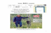 THE BIG EDDY-Master · Eddy Trustees had now routinely grown accustomed to doing in all related matters brought to them by the MoF and the Ministry of Environment. Good, like many