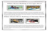 White Water Rafting at Savegre River - Vacation home in Manuel Antonio/Quepos … · 2016-11-29 · Sport Fishing Quepos is one of the world’s finest sport fishing locations. Marlin