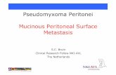PseudomyxomaPeritonei MucinousPeritoneal Surface Metastasis · 2008-12-16 · • Ronnett: Mucinousmaterial within the peritoneal cavity associated with a mucinoustumor • Sugarbaker: