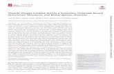 Shigella Phages Isolated during a Dysentery Outbreak Reveal … · 2018-04-03 · ABSTRACT In 2016, Michigan experienced the largest outbreak of shigellosis, a type of bacillary dysentery