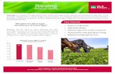 Renegade Riesling - DLF Pickseed North AmericaRiesling is a medium to large leafed white clover with high stolon density and excellent production. It has excellent adaptability to