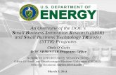An Overview of the DOE’s B Innovation Research (SBIR) and ... · Scientific Discovery and Innovation: Strengthening U.S. scientific discovery, economic competitiveness, and improving