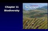 Chapter 11 Biodiversity - Sewanhaka High School...HUMAN-CAUSED LOSSES IN BIODIVERSITY • Acronym HIPPO summarizes the issues: 1. Habitat destruction 2. Invasive species 3. Pollution