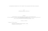 CLAIBORNE AVENUE IN THE TREME: RE CLAIMING NEUTRAL … · CLAIBORNE AVENUE IN THE TREME: RE CLAIMING NEUTRAL GROUND BY RHONDA MARIE CASTILLO THESIS Submitted in partial fulfillment