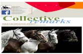 HDS B M Collective remarks - houstondressagesociety.orghoustondressagesociety.org/wp-content/uploads/2019/... · Equestrian. Providing the saddle pads for U.S. teams in the high-performance