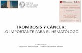 TROMBOSIS Y CÁNCER · HR 0,64; p=ns. - Estudios en cáncer único: - Glioblastoma (-) - Fragem y Conko004 (páncreas avanzado) + - Topic y Protecht (pulmón) + TEV: 3,4 vs 23% y