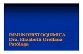 INMUNOHISTOQUIMICA Dra. Elizabeth Orellana Patólogacrece.org.gt/publicaciones/Revision de la inmunohistoquimica.pdf · 1940 Coons Deteccióón n AgAg con con AcAc fluorescentes en