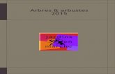Arbres & arbustes 2015 - Jardins en Marche 2015.pdf2015. Jardins en Marche Arbres & arbustes Arbres & arbustes 2 ABELIA grandiflora ‘Francis Mason’ ... collection d’aubépines