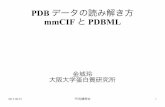 PDB データの読み解き方 mmCIF とPDBML - PDB Japan - PDBj2013/08/23  · 2013-08-23 PDBj講習会 1 PDBデータの読み解き方 mmCIFとPDBML 金城玲 大阪大学蛋白質研究所