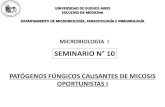 SEMINARIO N° 10 - Facultad de Medicina UBA · 2019-05-09 · SEMINARIO N° 10 MICROBIOLOGIA I PATÓGENOS FÚNGICOS CAUSANTES DE MICOSIS OPORTUNISTAS I . Objetivos: ... 10 15 20 25