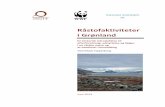 Råstofaktiviteter i Grønlandawsassets.wwfdk.panda.org/downloads/... · ler stort set kun grænserne for vinterens mørketid og sommerens midnatssol. I vin-terhalvåret kan nordlys