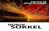 NORSK SOKKEL - Oljedirektoratet · 2018-12-07 · NORSK SOKKEL TIDSSKRIFT FRA OLJEDIREKTORATET NR. 1 - 2017 Årgang 14 Mer å hente 12-22SIDENE SIDE9 20 SIDE 23SIDE 24SIDE 27SIDE