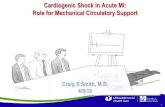 Cardiogenic Shock in Acute MI: Mechanical Circulatory Support€¦ · Critical cardiogenic shock describes a patient who is “crashing and burning”, in which a patient has life