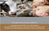Veegerelateerde MRSA: epidemiologie in dierlijke ...2.6 Stof als indicator van bedrijfsstatus en als vector voor transmissie 19 2.7 Voorkomen van MRSA in voedingsmiddelen 20 2.8 MRSA-types