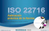 Aplicación práctica de la Norma - Normas ISO · COSMETICS . Title: Power Point Template Author * Created Date: 7/16/2013 10:14:16 AM ...
