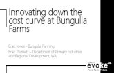 Innovating down the cost curve at Bungulla Farms · 2019-05-08 · innovation down the cost curve… Secure cashflow, t0 Secure cashflow, t1 Secure cashflow, t2 Secure cashflow, t3