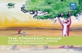 of GEF-funded Cross-Cutting Capacity Development · 2 THE STRATEGIC VALUE OF GEF-FUNDED CROSS-CUTTING CAPACITY DEVELOPMENT Foreword Sustainable development is an aspiration that countries