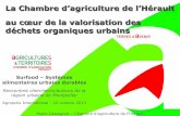 La Chambre d’agriculture de l’Hérault au cœur de la ... · La Chambre d’agriculture de l’Hérault au cœur de la valorisation des déchets organiques urbains Marie Castagnet
