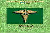 MEDULA Medical Profession Journal of Lampung Volume 6 ...repository.lppm.unila.ac.id/2231/1/1.Hanna,M.Yogi... · Format laporan kasus terdiri atas judul, abstrak (Indonesia dan Inggris),