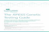 The RPE65 Genetic Testing Guide · when administering LUXTURNA, and monitor for and advise patients to report any signs or symptoms of infection or ... LUXTURNA is an adeno-associated