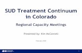 SUD Treatment Continuum in Colorado SUD... · 3. Develop a plan for addressing capacity deficiencies 4. Support the Regional Accountable Entities (RAEs) in developing SUD provider