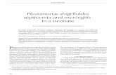 Plesiomonas shigelloides septicemia and meningitis in a neonatedownloads.hindawi.com/journals/cjidmm/1996/404780.pdf · 2019-08-01 · toms. This neonate never had diarrhea. Plesiomonas