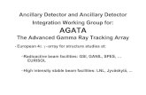 AGATA ancillary detectors and ancillary detector ...agata.pd.infn.it/documents/week9152003/  · PDF file AGATA Ancillary detectors and ancillary detector integration working group