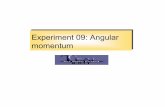 Experiment 09: Angular momentumdspace.mit.edu/bitstream/handle/1721.1/110717/8-01t-fall-2004/cont… · Investigate conservation of angular momentum and kinetic energy in rotational