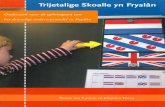 Trijetalige Skoalle yn Fryslân · 4 Projectscholen ten opzichte van het provinciale en landelijke gemiddelde 44 4.1 Inleiding 44 4.2 Niveauverdeling taalvaardigheid Fries (technisch