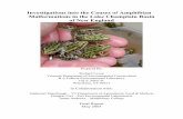 Investigations into the Causes of Amphibian - Vermont · 2016-02-26 · Dr. Carol Meteyer for providing interpretations of digital and radiographic images and editorial comments.