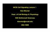 MCB Cell Signaling Lecture 1 Ken Blumer Dept. of Cell ... · 3’,5’-cyclic AMP Ca2+ Questions: Discovery (separate, re-combine) Specificity Amplification Complexity Signaling machines