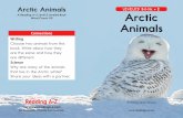 Arctic Animals LEVELED BOOK E Arctic Animals · PDF file 2019-06-14 · Arctic Animals. 12 Polar bears live in the Arctic. Moms stay with their cubs for years. Which animals live in