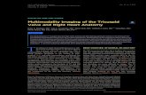 Multimodality Imaging of the Tricuspid Valve and Right ... · STATE-OF-THE-ART PAPER Multimodality Imaging of the Tricuspid Valve and Right Heart Anatomy Omar K. Khalique, MD,a João