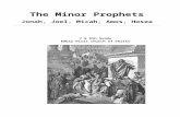 THE MINOR PROPHETS: - Embry Hillsembryhills.us/downloads/uploads/Class Material - Seg… · Web viewThe Israelites have suffered greatly because of their sin, yet they shall still