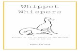 Whippet Whispers - webs.dogs.net.auwebs.dogs.net.au/whippetclubnsw/uploads/documents/... · Winter also means the education season and I would also like to invite you to come along