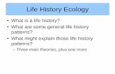 Life History Ecologyfaculty.fiu.edu/~trexlerj/Advanced_Ecology/AE12_Lecture_5.pdf1) Life history results from the allocation of a limited amount of resources (e.g., time, energy) to