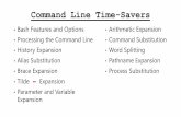 Command Line Time-Saversckelly/teaching/common/lecture/... · 2017-02-23 · Processing the Command Line • The shell can modifywhat you enter at the command line • It does this