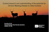 Chronic Wasting Disease in Montana · Current research and understanding of the potential for. Chronic Wasting Disease to infect humans . Brent Race D.V.M. Associate Scientist, Rocky