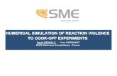 NUMERICAL SIMULATION OF REACTION VIOLENCE TO COOK … · 23 NUMERICAL SIMULATION TO COOK-OFF EXPERIMENTS 2003 IMEMTS March 10-13 Ø Prediction of the reaction violence of multi-dimensionnal