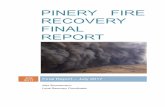 PINERY FIRE RECOVERY FINAL REPORT...included in the Pinery Fire Interim Report of September 2016. INTRODUCTION The Pinery fire started on Wednesday 25 November 2015, escalating rapidly