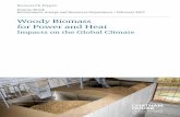 Woody Biomass for Power and Heat - QualEnergia.it · Wood – and particularly wood pellets, now the dominant solid biomass commodity on world markets – is therefore likely to remain