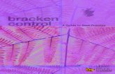 Bracken control - a guide to best practice 2008 - Bracken... · BACKGROUND Bracken(Pteridiumaquilinum)isanimportantandnaturalpartofourlandscape,anditsabundanceappearstohavefluctuatedover