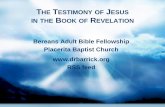 The Testimony of Jesus in the Book of Revelationdrbarrick.org/files/studynotes/Revelation/28A_Revelation_PPT.pdfImplications Regarding Jesus Christ •Jesus stands against all the
