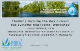 Thinking Outside the Box Culvert Eco Systems Marketing ... · Natural Floodplain Storage versus Detention Basins Located in the Menomonee River Watershed SE Wisconsin. Compared cost