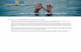 Oﬃcial Website of MOB Rescue Raft - DS Marinesoft...representative sample: MISLE (Marine Information for Safety and Law Enforcement), MAIB (Marine Accidents Investigation Branch)